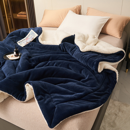 🎄🎅Winter gift🎁 - Thick Double Layer Plush Blanket
