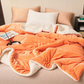 🎄🎅Winter gift🎁 - Thick Double Layer Plush Blanket
