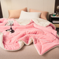 🎄🎅Winter gift🎁 - Thick Double Layer Plush Blanket