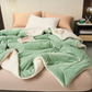 🎄🎅Winter gift🎁 - Thick Double Layer Plush Blanket