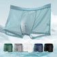 🎉 2026 Sale — Over 30,000 Sold! 💞 Ice Silk Cool mesh boxer shorts
