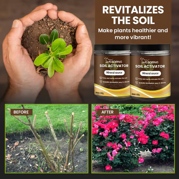 🔥Seasonal Promotion🔥Soil Pro Activator