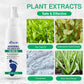 Herbal Antibacterial Foot Spray with Tea Tree Oil - 100ml Long-Lasting Formula for Foot Odor, Athlete's Foot Treatment & Fast-Acting Itch Relief