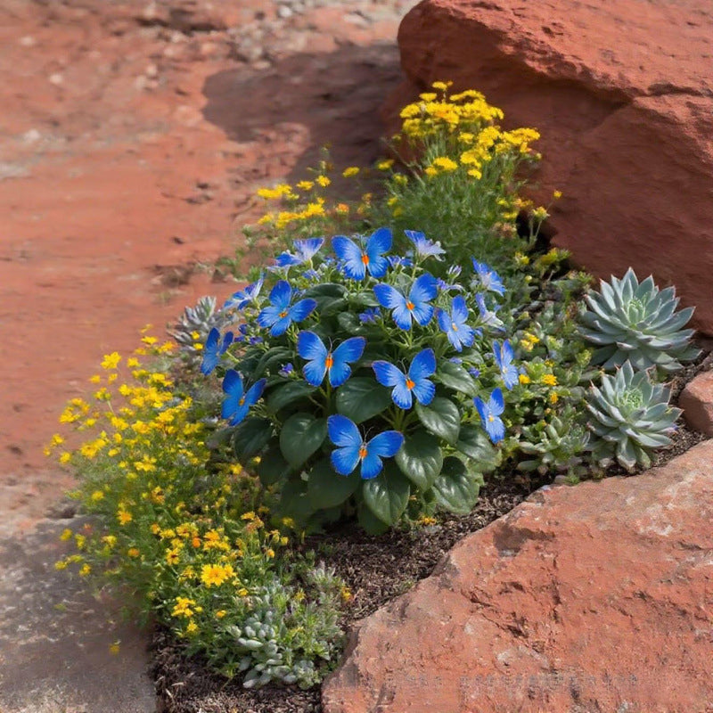 🦋 Rozmarné semená kvetov v tvare motýľa ✨