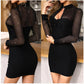 Stevie Mesh Glitter Fabric Cutout Shirt Neck Long Sleeve Stretch Mini Dress