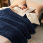 🎄🎅Winter gift🎁 - Thick Double Layer Plush Blanket